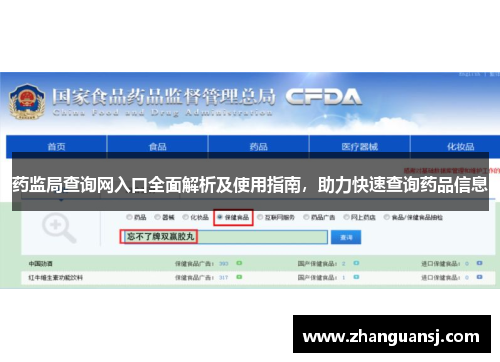 药监局查询网入口全面解析及使用指南，助力快速查询药品信息