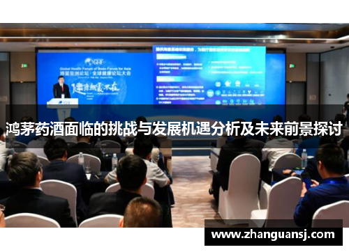 鸿茅药酒面临的挑战与发展机遇分析及未来前景探讨