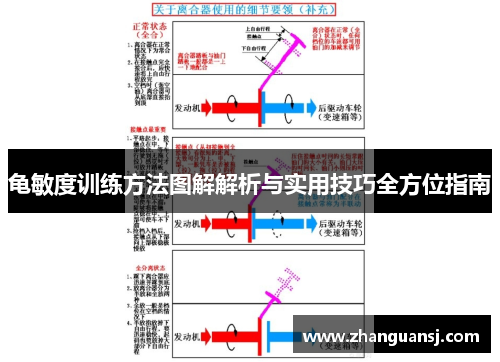 龟敏度训练方法图解解析与实用技巧全方位指南