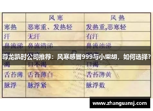 尊龙凯时公司推荐：风寒感冒999与小柴胡，如何选择？