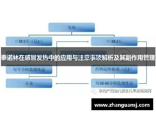 泰诺林在感冒发热中的应用与注意事项解析及其副作用管理