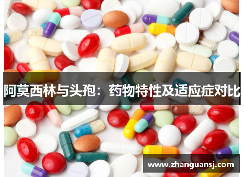 阿莫西林与头孢：药物特性及适应症对比